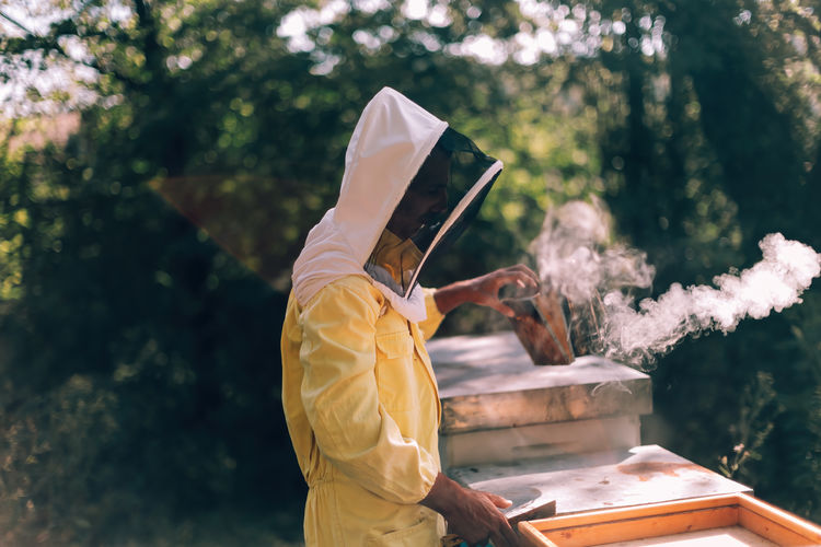 Professional beekeeper working in the bee hive collecting honey with smoker