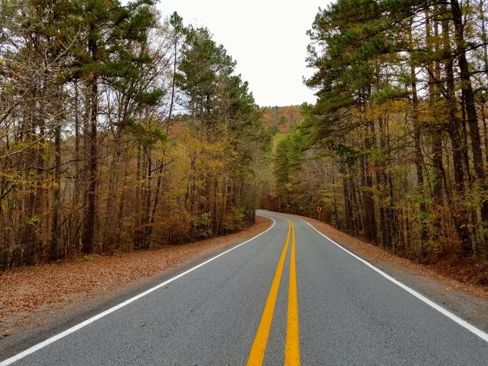 Road amidst trees against sky