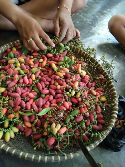 High angle view of person preparing fruits