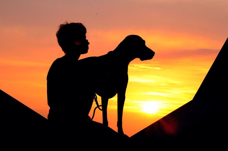Silhouette man and dog against orange sky during sunset