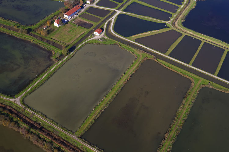 Aerial view of fishponds crna mlaka, croatia