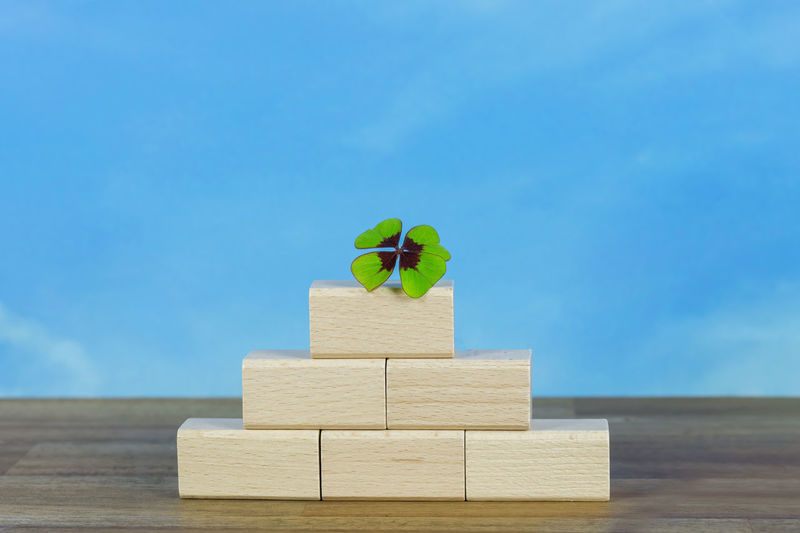 Close-up of leaves on toy blocks over table against blue sky
