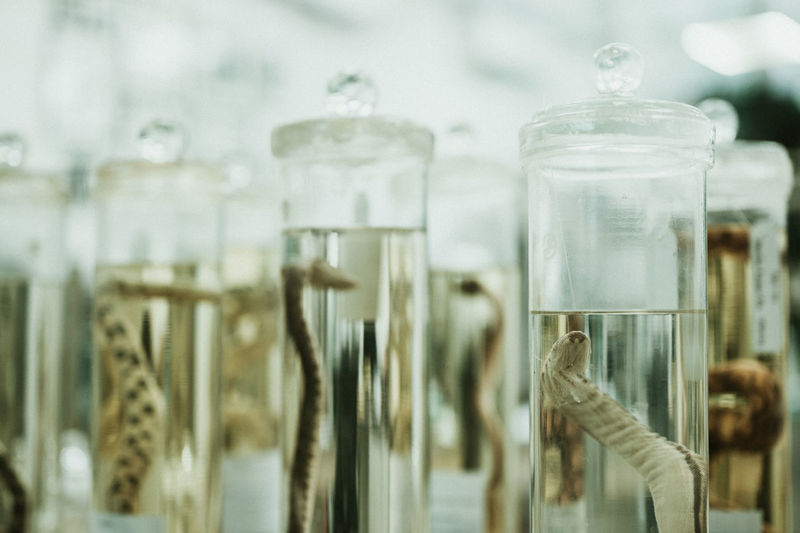 Close-up of glass jar