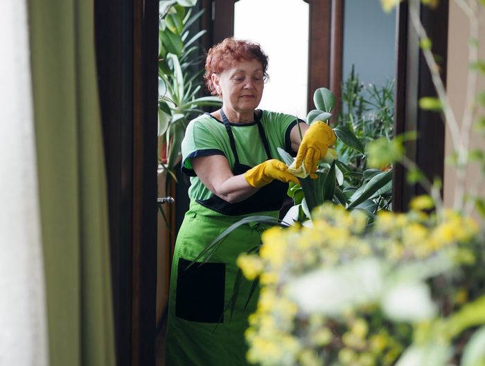 Selective focus and blurred image. elderly woman caring for indoor plants at home. housework 
