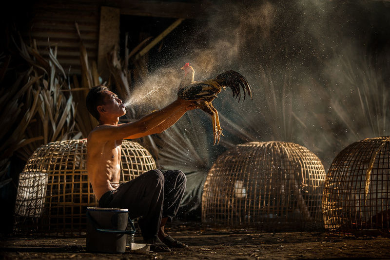 Full length of man blowing water on chicken