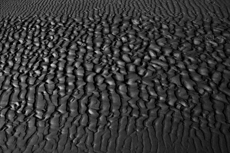 Full frame shot of textured surface