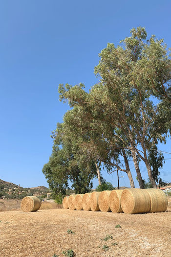 Hay bales on field against clear blue sky