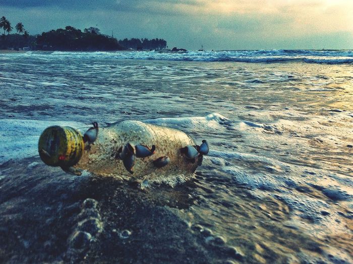 Bottle floating on water at sea shore