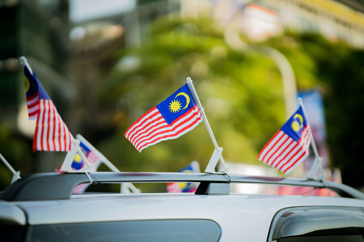 View of flags in car