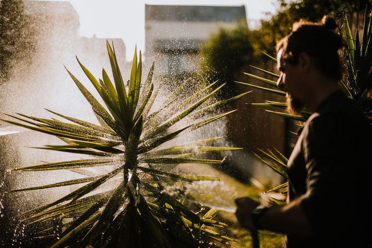 Man spraying water on plants in garden