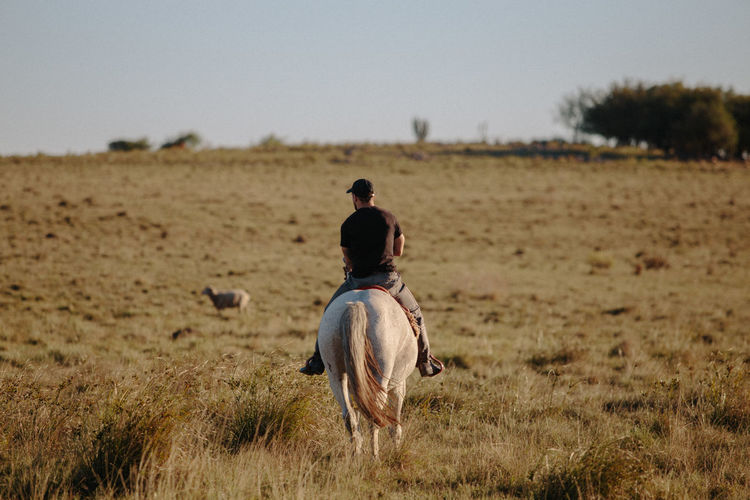 Rear view of man riding horse on field