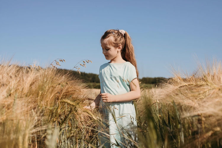 A cute fair-haired girl stands in a field of golden spikelets. summer holidays, happiness,freedom 