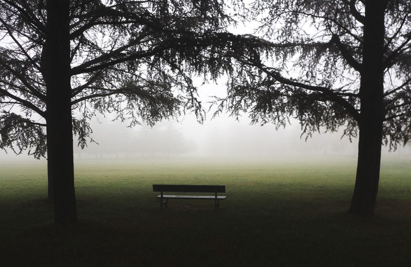 Empty bench in park during foggy weather