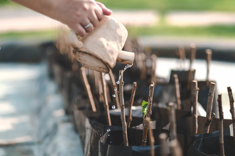 Cropped hand of person watering plants