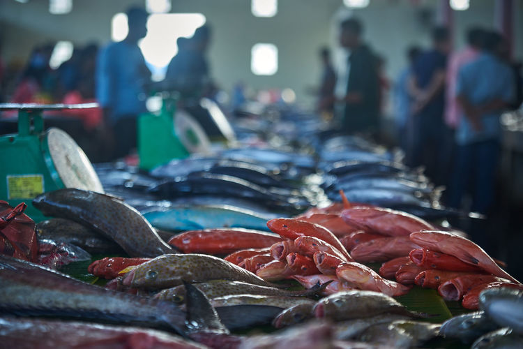 Pile of fresh fish for sale at traditional seafood market stall