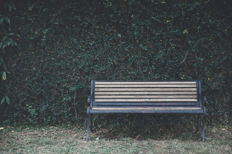Empty bench in park