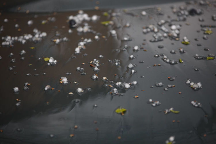 Small hail ice balls on black car bonnet after summer storm