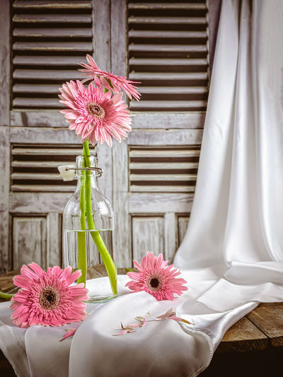 Close-up of flowers on table