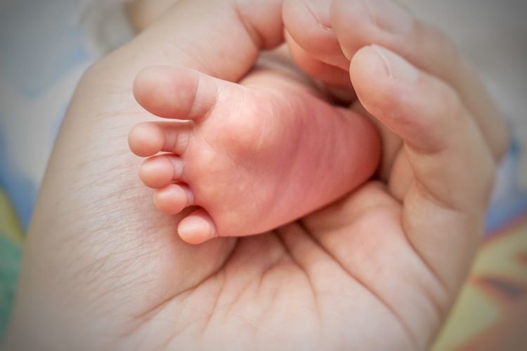 Cropped hand of parent holding baby foot