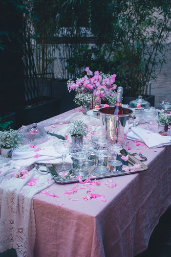 Pink flowering plants on table