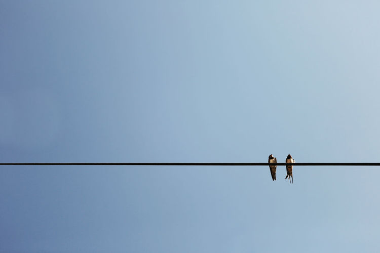 Low angle view of woman against clear sky